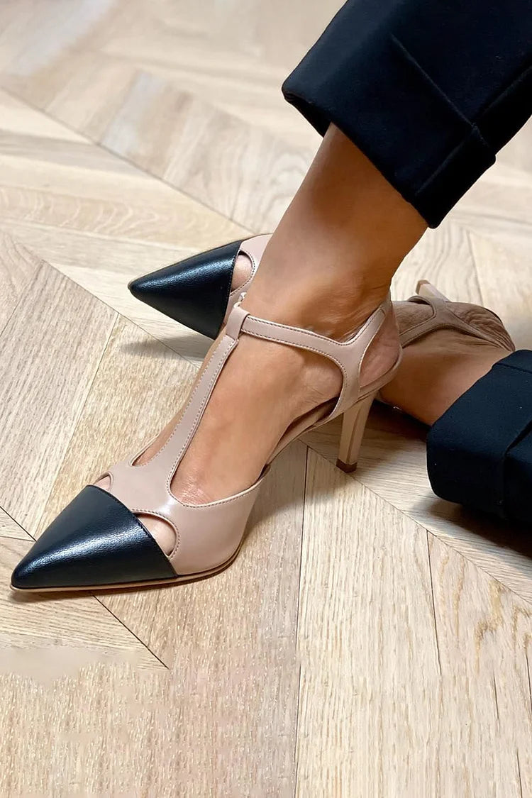 Evrardine | Bicolored Pointed Toe Pump