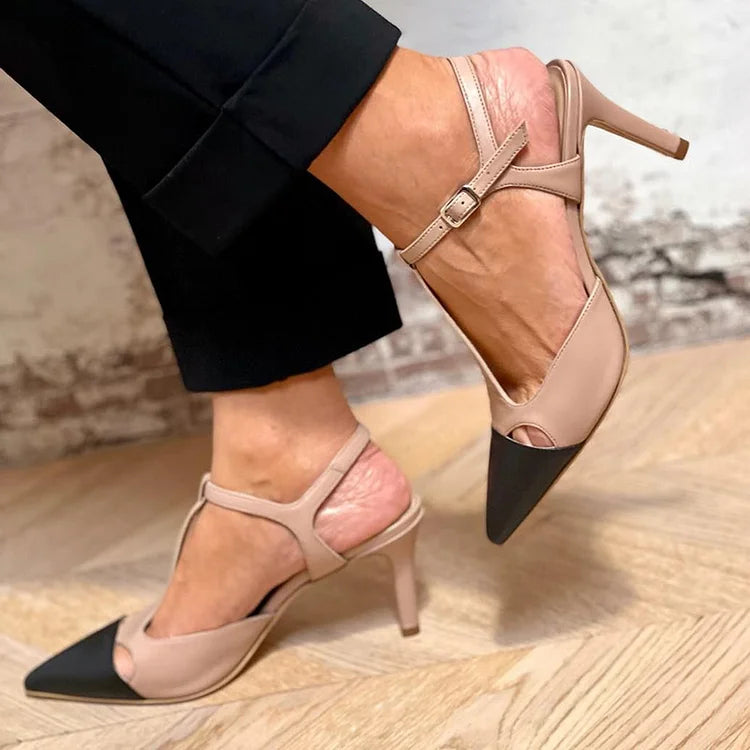 Evrardine | Bicolored Pointed Toe Pump